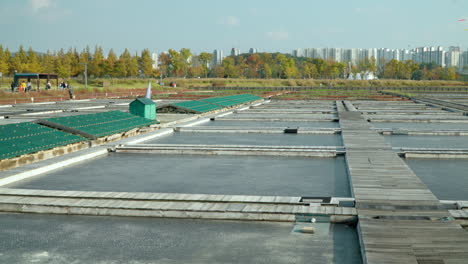 Panoramic-View-Of-Siheung-Gaetgol-Eco-Park-Salt-Farm-in-Gyeonggi-do,-South-Korea