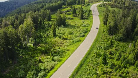 mountain road through forest