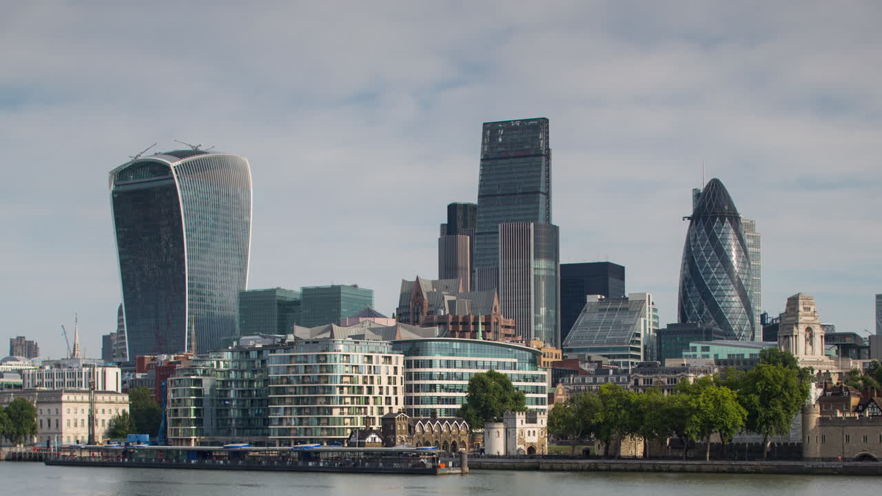 작은 오이 아침 4k 01