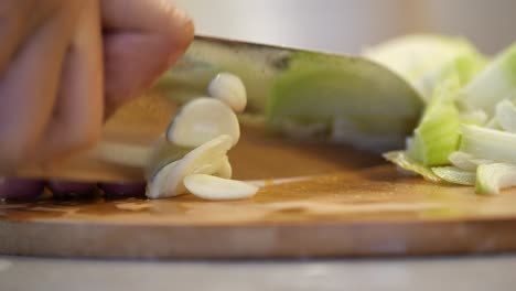 chopping garlic and onion