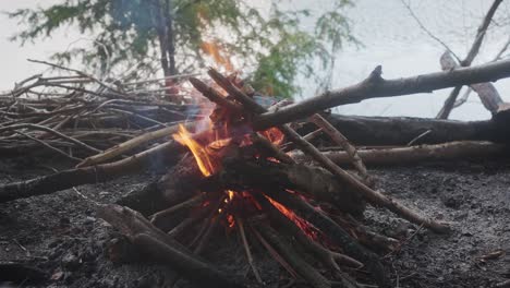 llamas naranjas de palos de madera en una fogata al lado del río