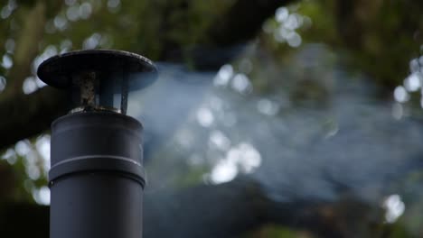 disparo cercano a la izquierda del marco de una chimenea de humo metálico con humo ligero, árbol grande detrás