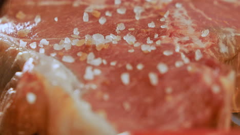 bistec crudo sazonado