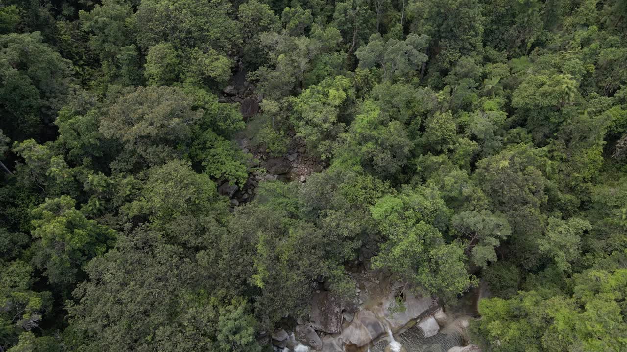 selva tropical y cataratas josephine en la zona remota del parque nacional wooroonooran en la región de cairns, queensland, australia - toma aérea de drones