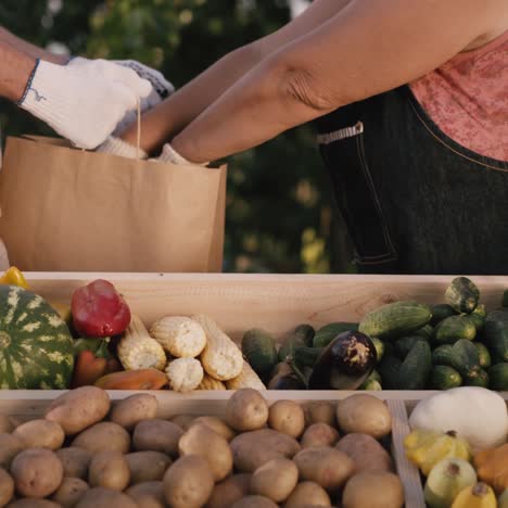 El-Agricultor-Pone-La-Bolsa-Del-Cliente-De-Verduras-En-El-Mercado-De-Agricultores