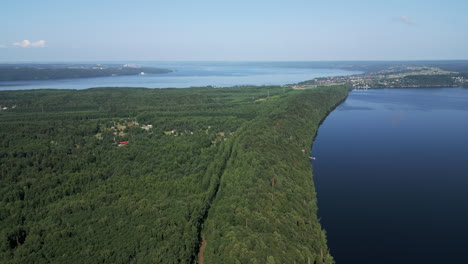 aerial view of a lake and forest