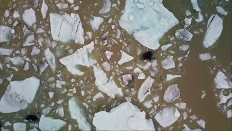 Icebergs-Texturizados-Flotando-En-Una-Laguna-Fangosa-En-Islandia