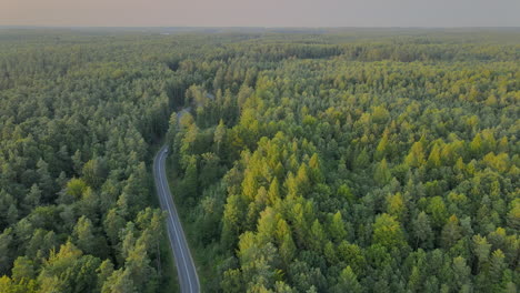 Vista-Aérea-De-La-Carretera-Que-Serpentea-A-Través-De-Los-Vastos-Bosques-Cerca-De-Koleczkowo-Polonia