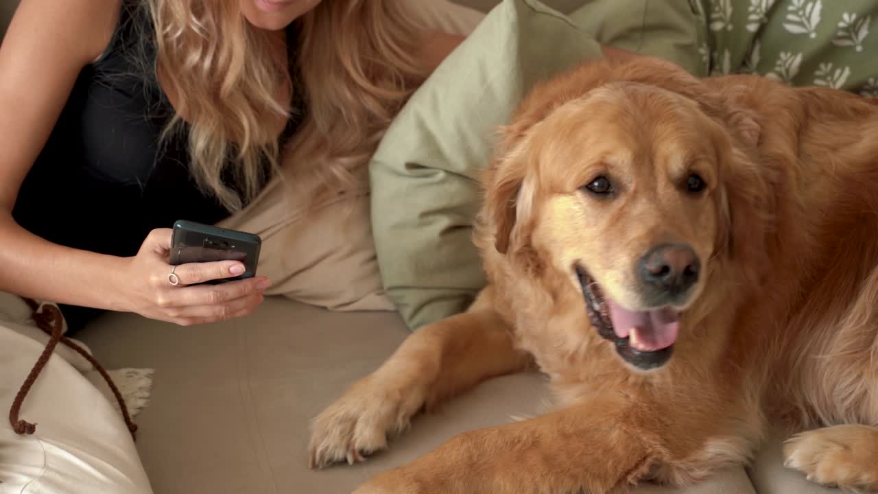 Young blonde woman is using smartphone with dog at home.
