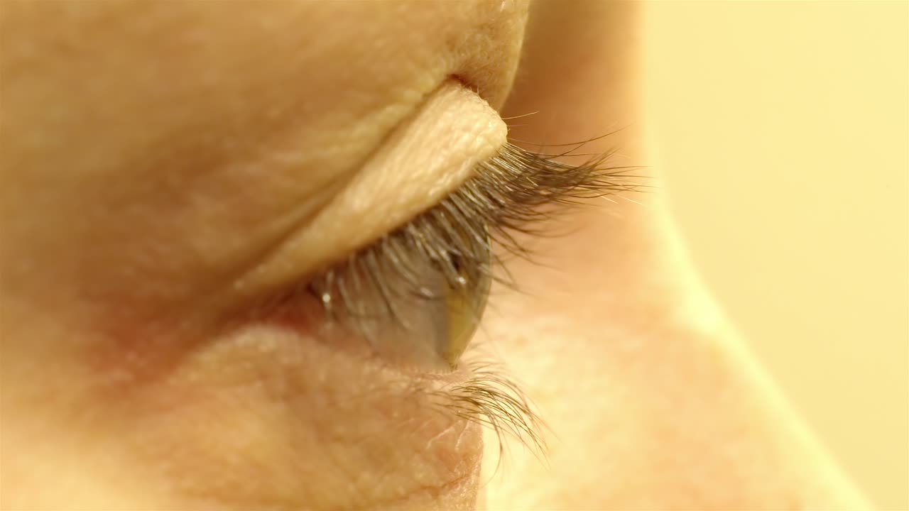 Extreme Close-up: Hazel Eye Iris and Pupil, Side View