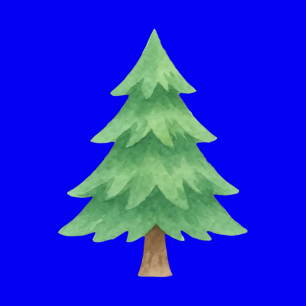 Watercolor evergreen tree illustration animation, transparent 4K video, green screen