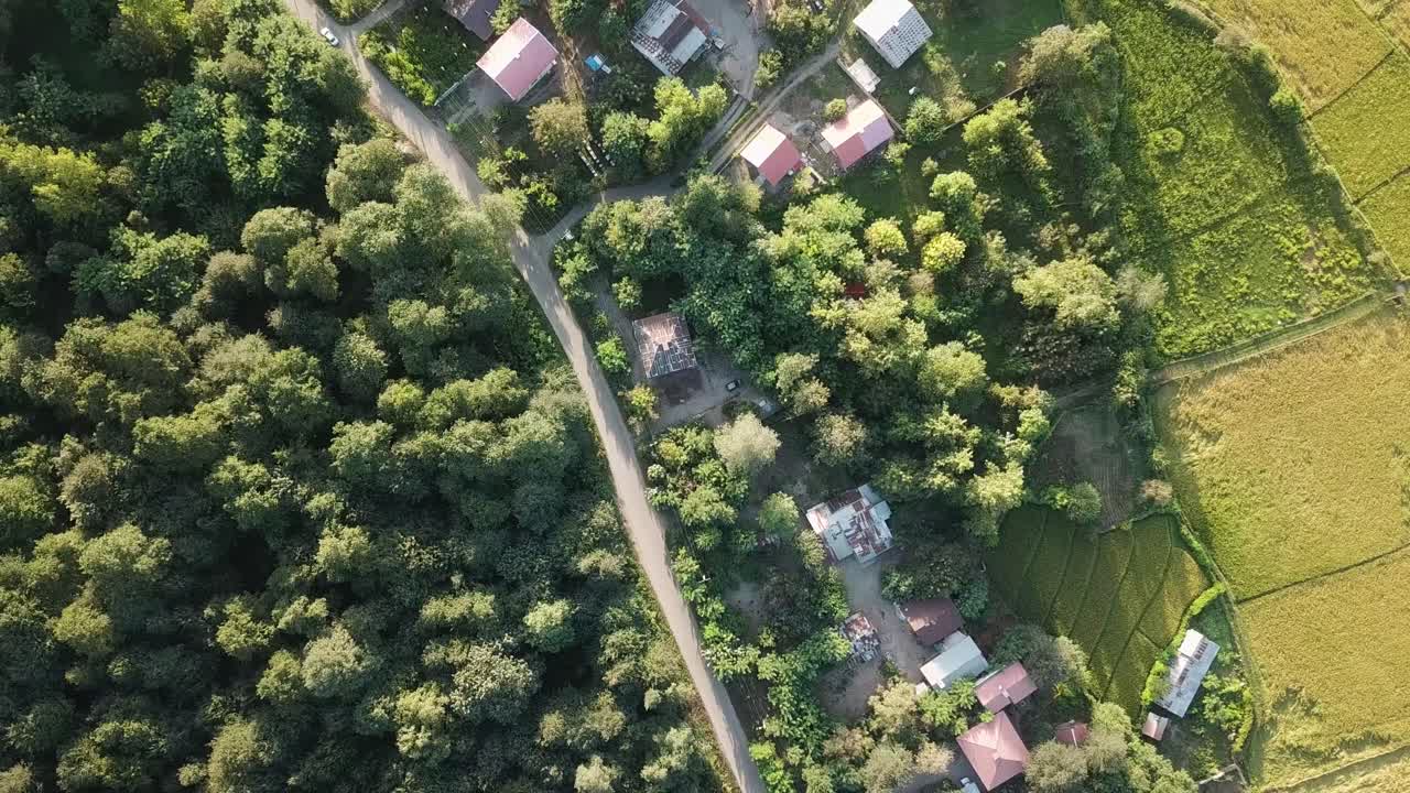 carretera de agricultura en el campo aldea rural en iran gilan rasht paisaje al aire libre natural ojo de pájaro drone disparado desde la vida tradicional persa casa vieja en clima húmedo prado verde campo de arroz