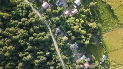 Camino-Agrícola-En-El-Campo-Aldea-Rural-En-Irán-Gilan-Rasht-Paisaje-Al-Aire-Libre-Natural-Ojo-De-Pájaro-Drone-Disparado-Desde-La-Vida-Tradicional-Persa-Casa-Antigua-En-Clima-Húmedo-Prado-Verde-Campo-De-Arroz