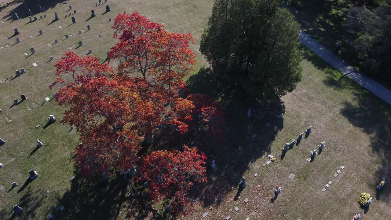 Scenic Autumn Landscape Showing Symmetrical Roads Ontario Drone