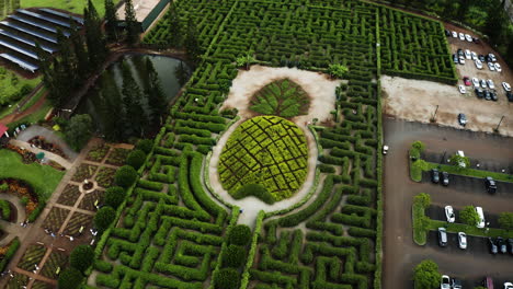 aerial view of a pineapple maze in maui, hawaii