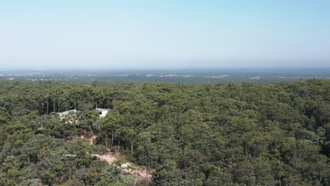 Aerial-video-rising-up-from-a-thick-jungle-of-trees-looking-out-over-a-house-in-the-middle-of-nowhere