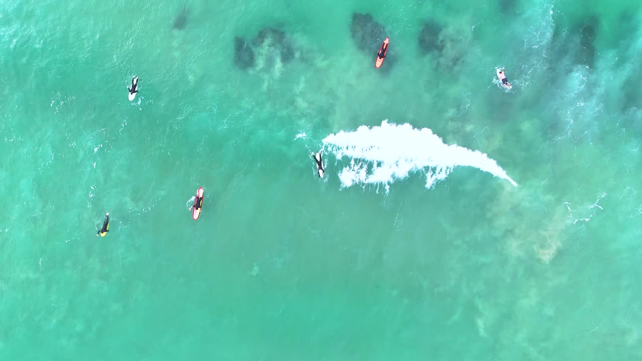 Aerial footage captures surfers navigating turquoise waves in Ocean Grove, Australia. Bright daylight enhances the vibrant sea and dynamic motion