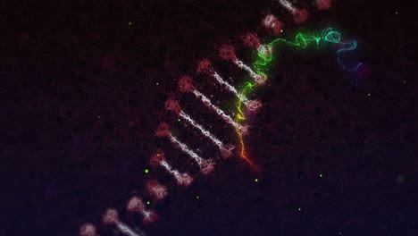animación de una cadena de adn girando sobre un fondo oscuro