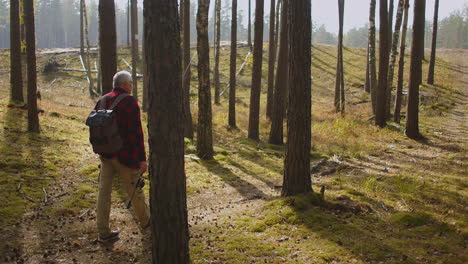 middle-aged fisher is walking in forest at autumn moving to fishing place at morning calm and picturesque nature