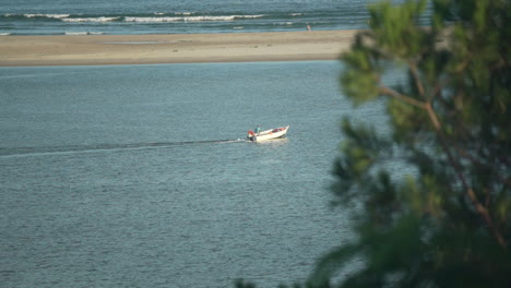 still shot of a fishing boat motorboat moving across the water with a tree in the foreground