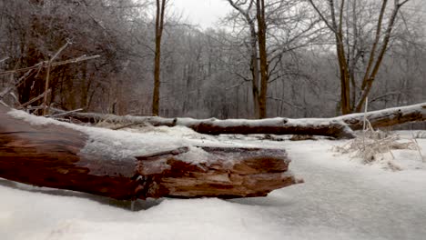 a slow motion forward moving shot across a snow covered grassland and meadow with fallen trees in the way