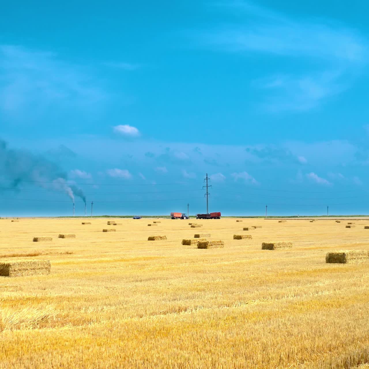Yellow harvested field in contrast with blue sky. Pressed straw bales for livestock laying in farmland. Wrapped square bales in the countryside