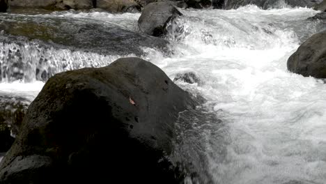 slow motion white water flowing over rocks