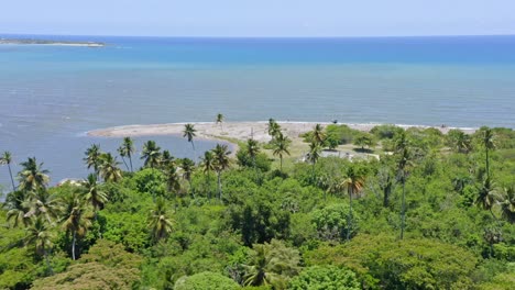 Aerial-view-of-tropical-bay-with-palm-trees-and-Playa-Boca-del-Soco-during-sunny-day