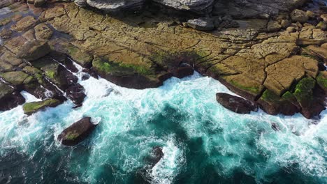 sydney - flotando en los acantilados de bondi del norte