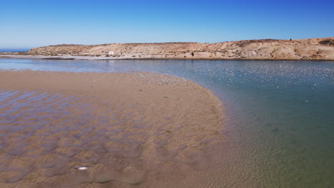 Wandernde-Raubseeschwalben-Heben-Von-Der-Sandbank-In-Der-Mündung-Ab