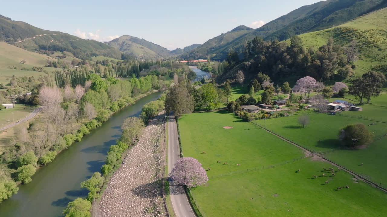 ariel drone toma del río y el valle de motueka mientras un coche conduce a lo largo de la carretera, nueva zelanda