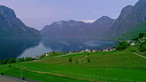 aerial drone forward moving shot over lush green crops over foothills surrounded by mountainous landscape with river flowing bythrough in norway on a cloudy day