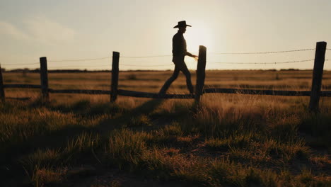 cowboy at sunset