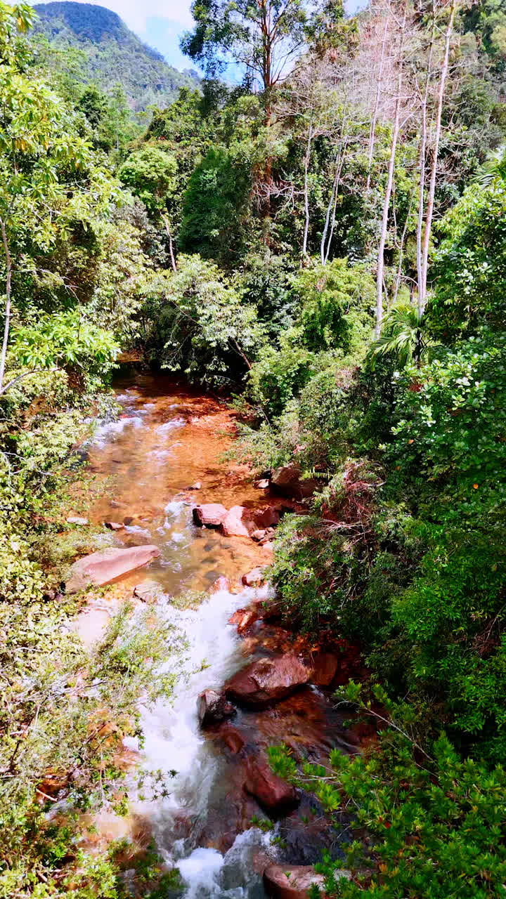 Clear water river flowing by the rocky landscape among the big boulders. Beautiful green trees grow around the river. Mountain at backdrop. Sri Lanka top view. Vertical video.