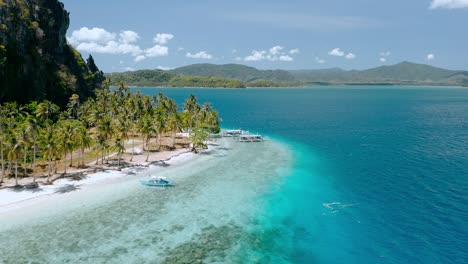 aerial view of cure small tropical ipil beach. pinagbuyutan island, el nido, palawan, philippines. crystal clear turquoise blue water, sandy beach, palm trees and intact coral reef