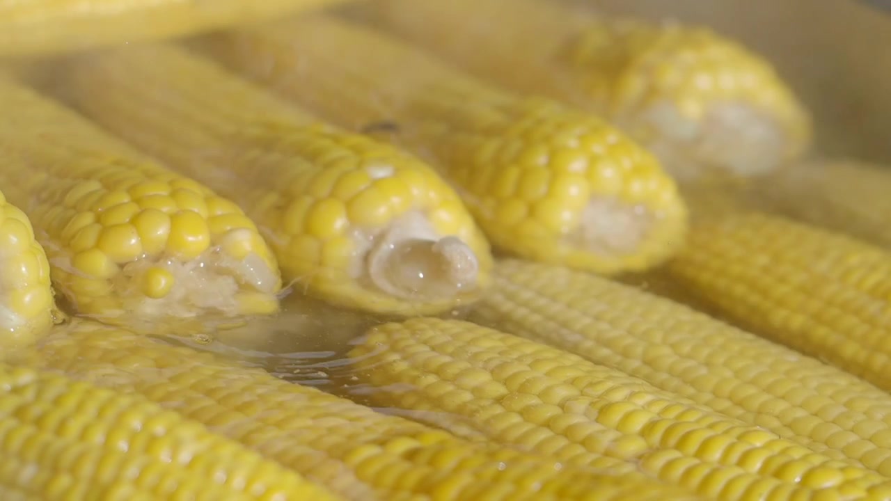 Close-up of Fresh Corn on the Cob Boiling with Steam