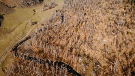 aerial view of a valley landscape with bare trees and river