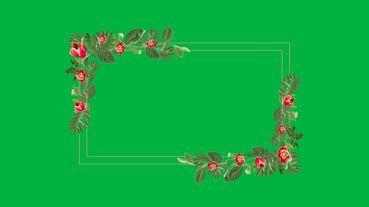Leaf fragments appearing, forming floral frame on tan card, blooming, retracting on transparent bg