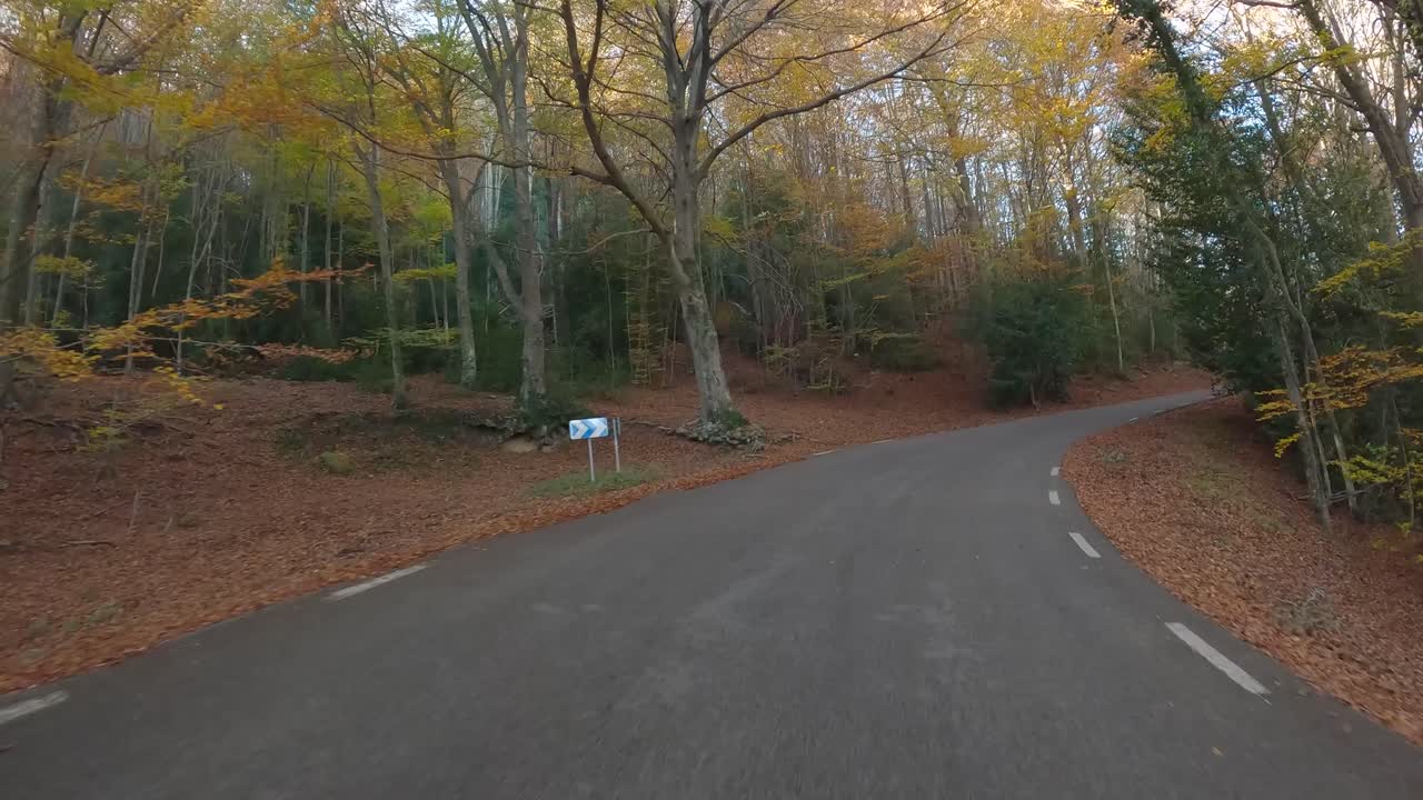 산의 숲에서 다채로운 가을 오커 색은 빨간 오렌지와 노란색 건조한 잎 아름다운 이미지 자연 사람이 운전하지 않고, 길 숲을  ⁇ 고