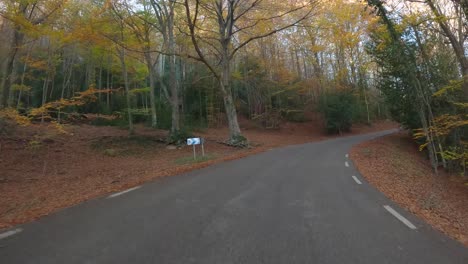 otoño colorido en el bosque de montaña colores ocre naranjas rojas y amarillos hojas secas imágenes hermosas naturaleza sin personas conduciendo, carretera bordeando un bosque
