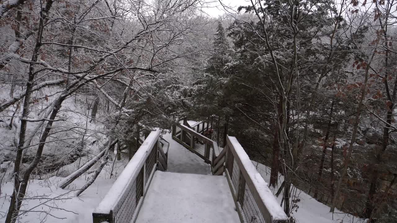 pov는 숲의 눈 덮인 인도교를 따라 전망대, 겨울 장면으로 걸어갑니다.