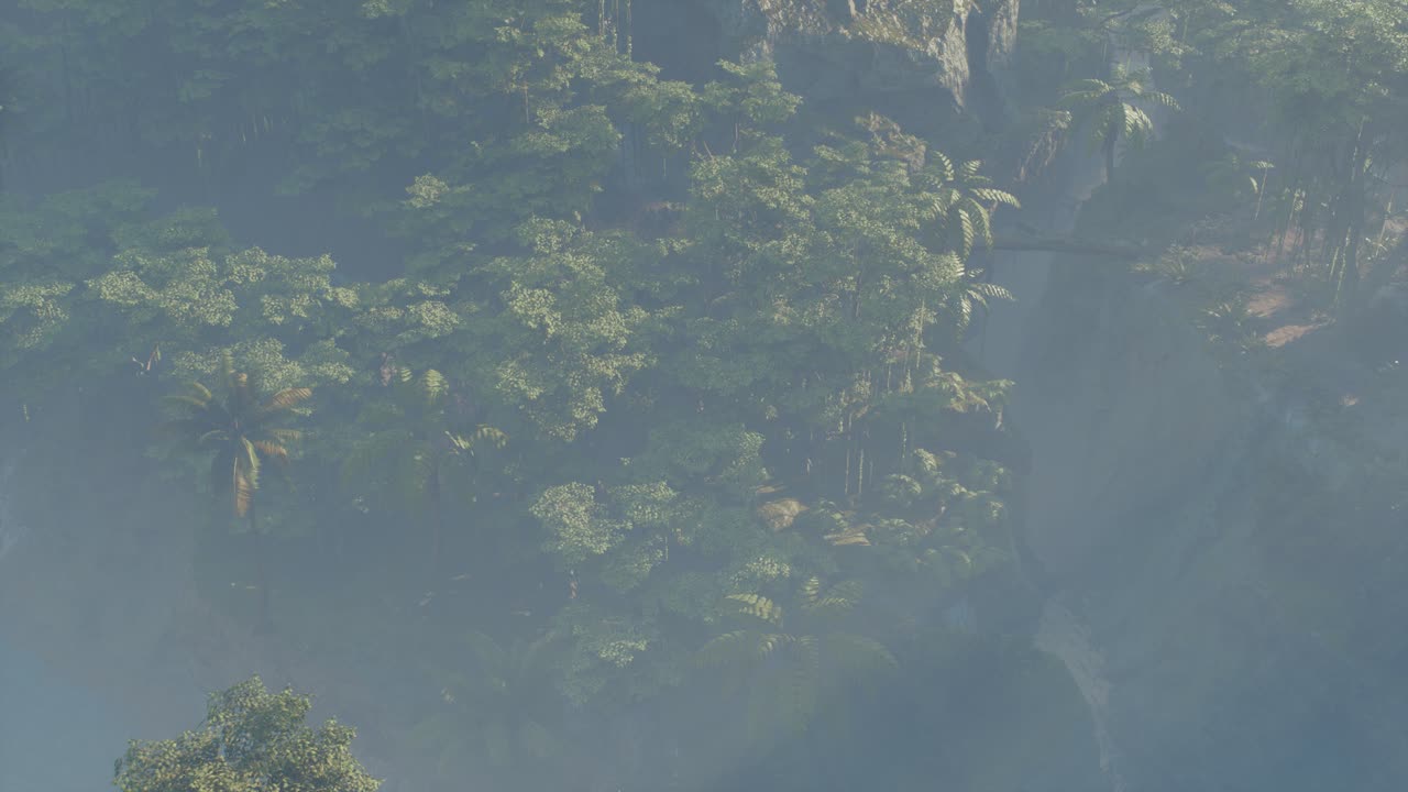 paisaje de selva tropical cubierto de niebla