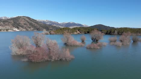 vista aérea de los arbustos árboles dentro de aoos manantial lago grecia zagori