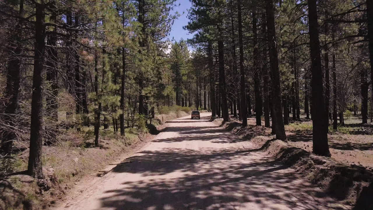 차량이 도로 한복판에 멈췄다