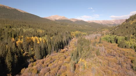 Flying-over-beaver-ponds-and-rising-to-reveal