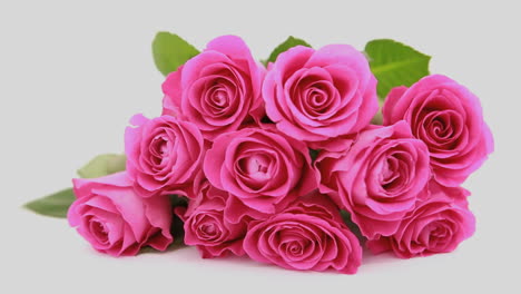 Focus-on-pink-roses-as-a-gift