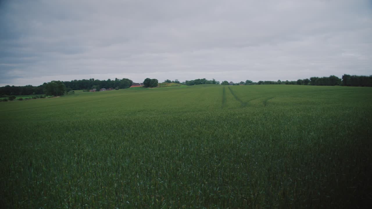 Lush green field under cloudy sky, rural landscape of Langeland, Denmark