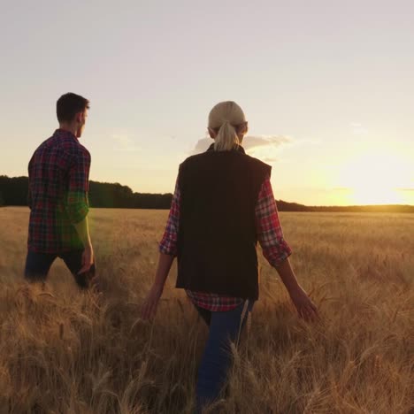 a family of farmers walks the field of wheat to the horizon where the sun sets