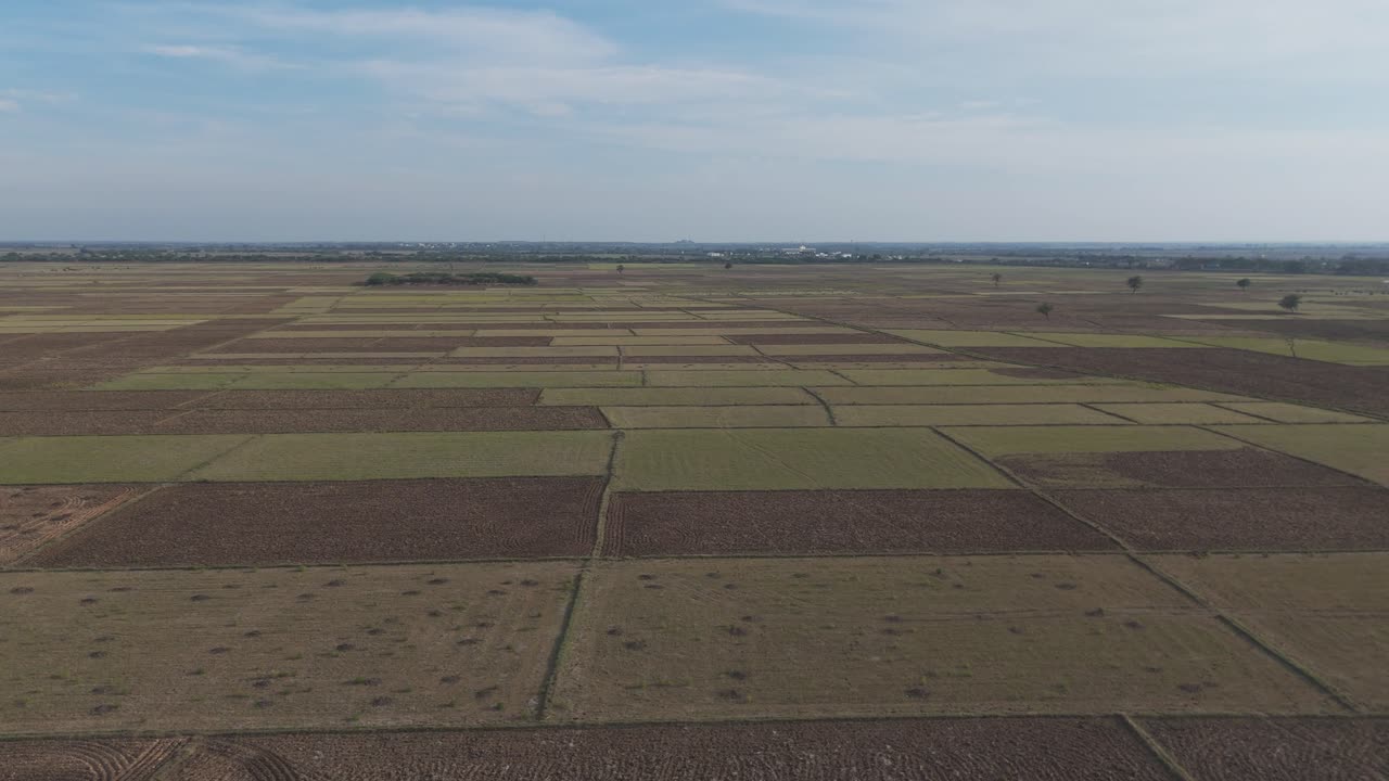 Serene landscape view of Vijayawada’s countryside farmlands.