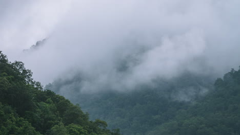 Timelapse-Del-Bosque-Nuboso---Exuberante-Paisaje-Verde-De-La-Montaña-De-La-Selva